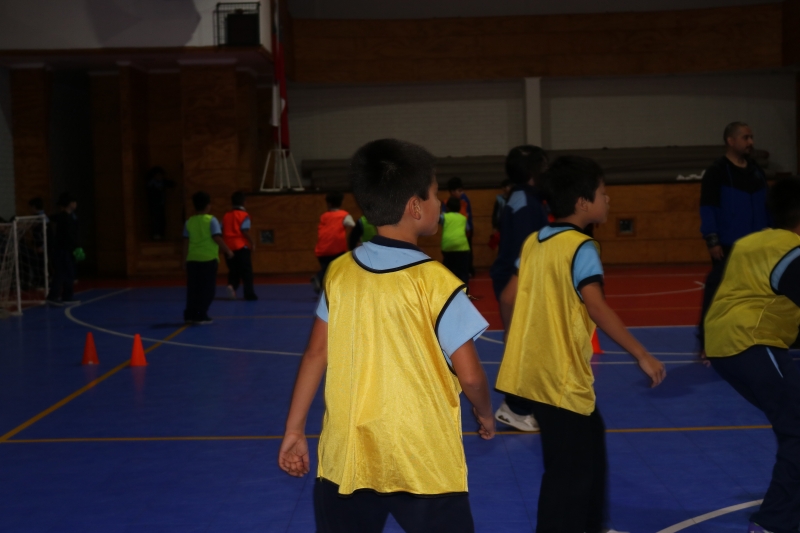 Día de la Actividad Física